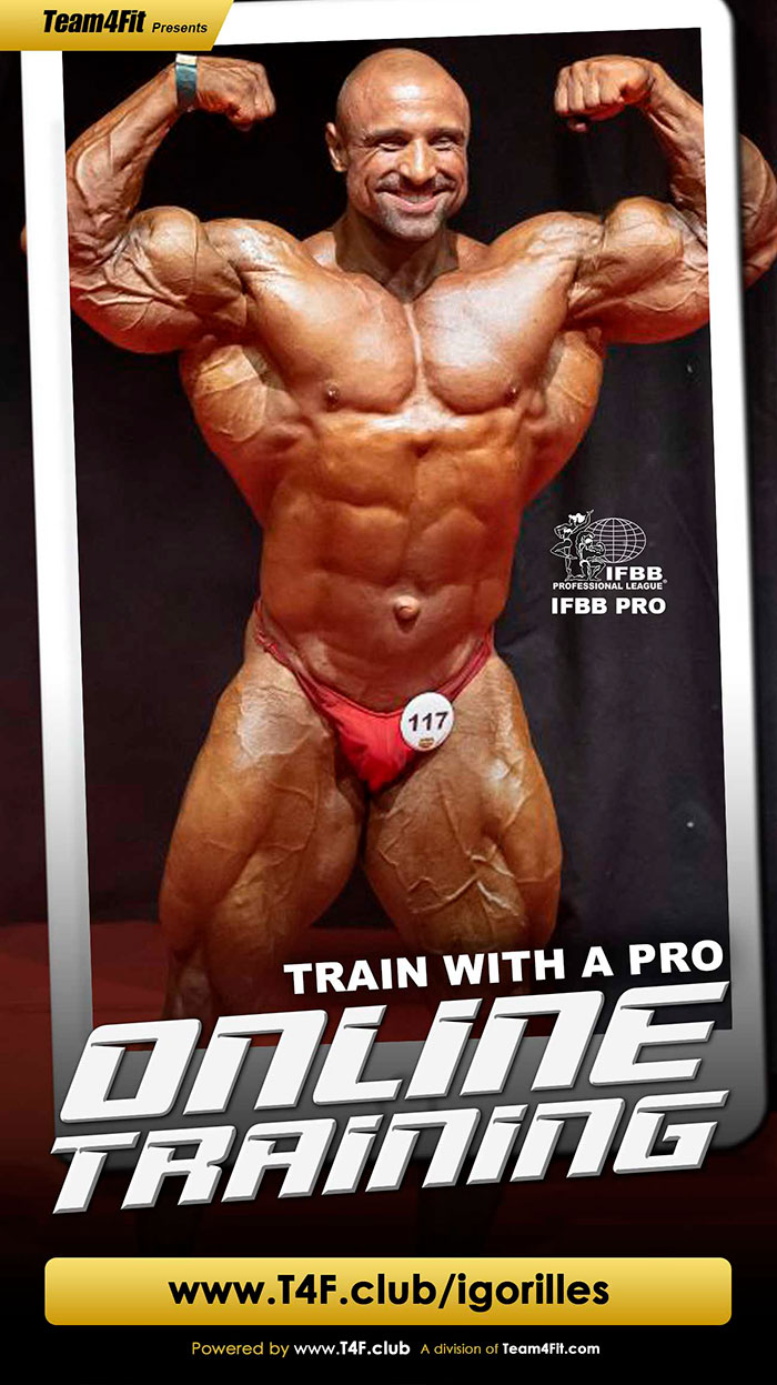www.t4f.club/igorilles
